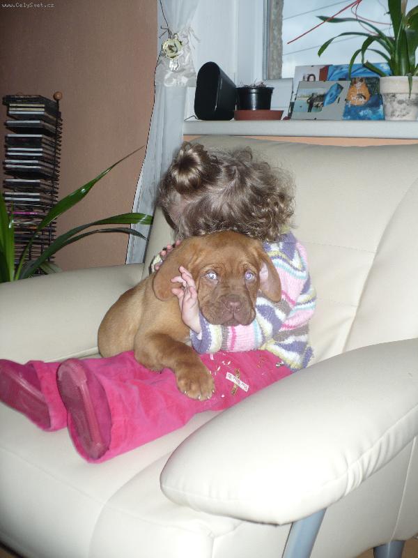 Foto: na�e barunka obec Libina na �umpersku-bar�a st��� 9 t�dnu kr�ska tvrdohlav�