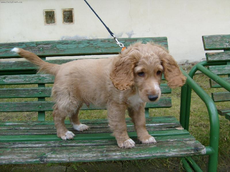 Foto: p�kn� rozhled-Sep - m�m dva a p�l m�s�ce