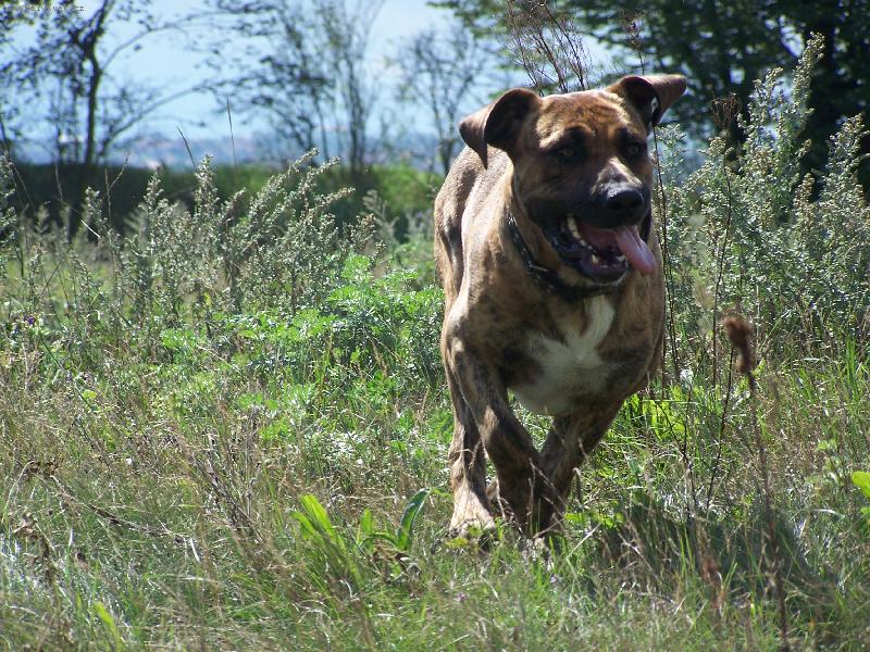 Foto: Fidelek-t�locvik jak m� b�t