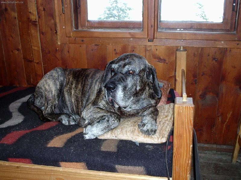 Foto: na chat� v pel�ku, m�m tady u� 13 let-Zem�el v loni