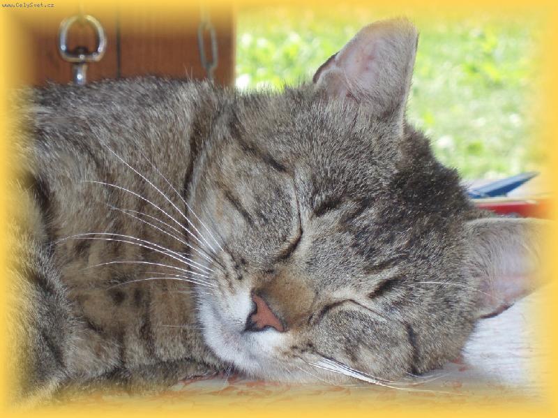 Foto: ,,n� mil��ek Samuel"-..kr�sn� sp�..nooo skoro po��d...;-D