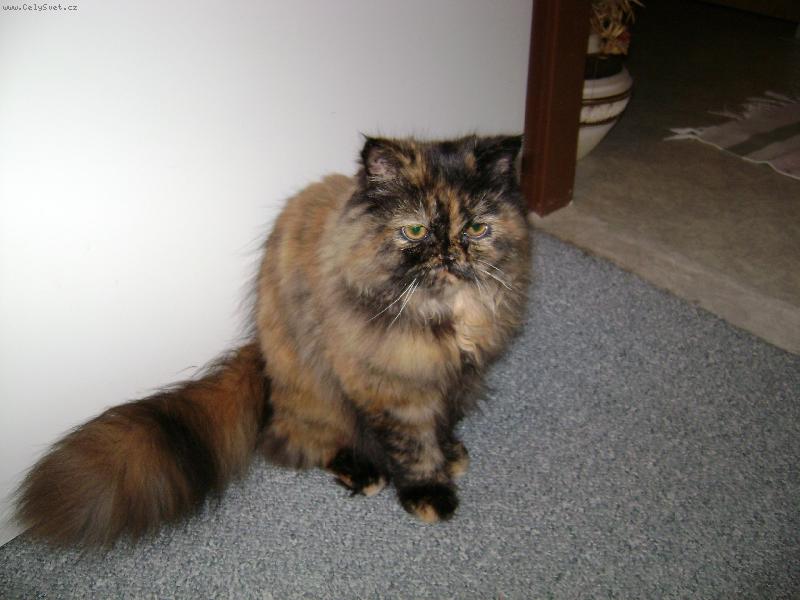 Foto: Missinka-Na�e princezna