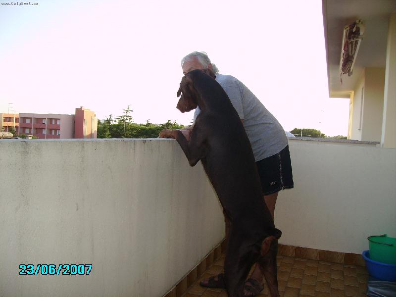 Foto: holky jdou-vIt�lii s man�elem vyhl�ej "ko�ky"