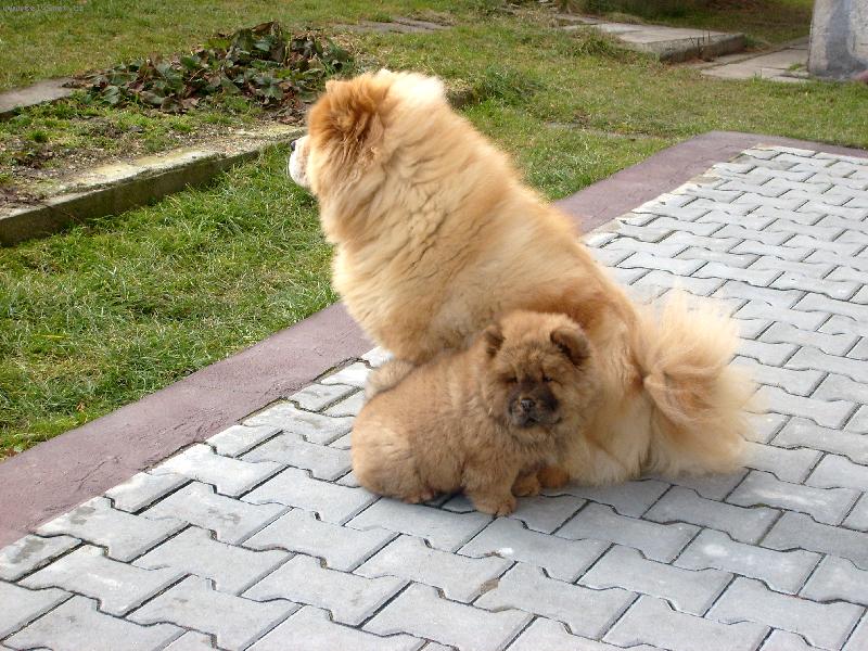 Foto: Ustora Haltrava a Jonita Haltrava-neboj ...mal� ... j� t� v�echno nau��m!