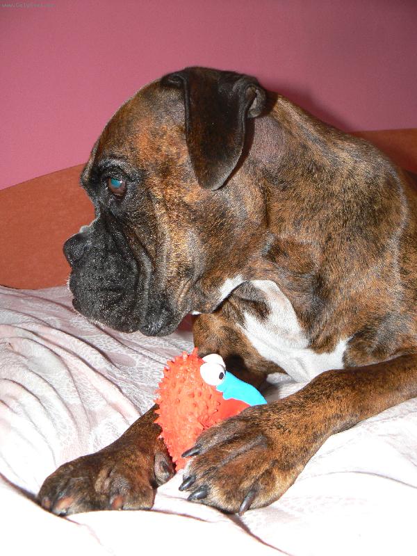 Foto: To je moje hra�ka