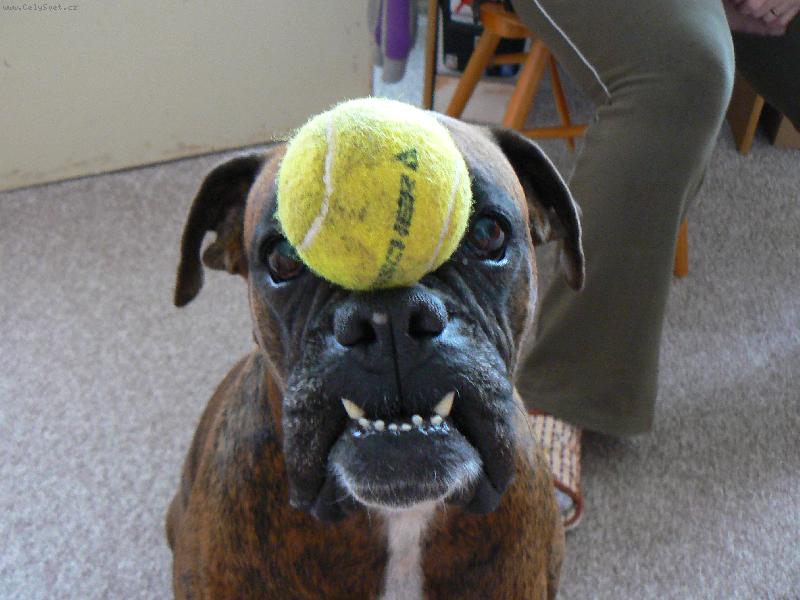 Foto: To kdekdo neum�