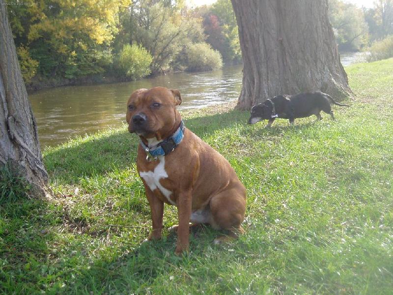 Foto: Yusep Hanvoj neboli PEPA-narozen 7.6.2005