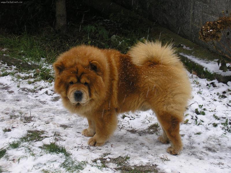 Foto: kone�n� pad�....-jen v�c a v�t�� vlo�ky