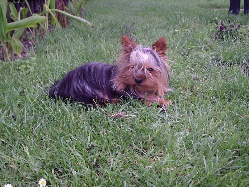 Foto: Monty-pohoda ve v�tru