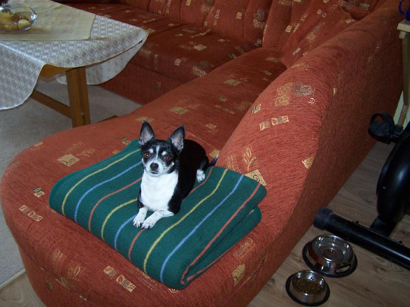 Foto: Anynka z Hav��ova-maminka 4 �t���tek