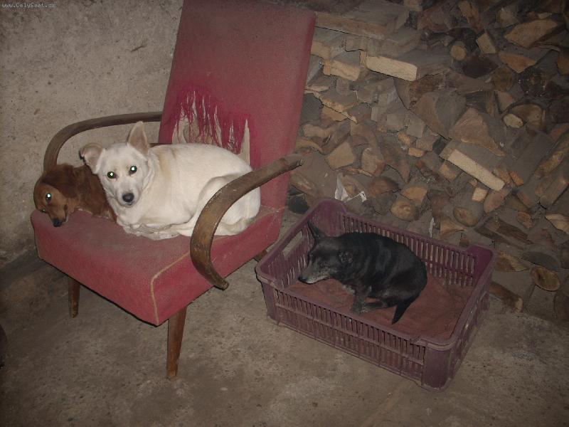 Foto: holky-na�e pel�ky