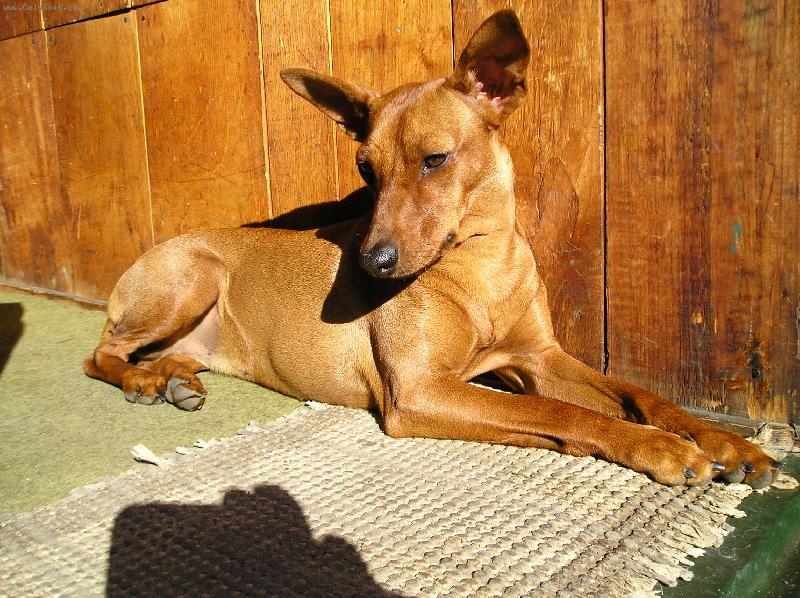 Foto: Mairra Marrieta Roz�rka-co se to pohnulo???