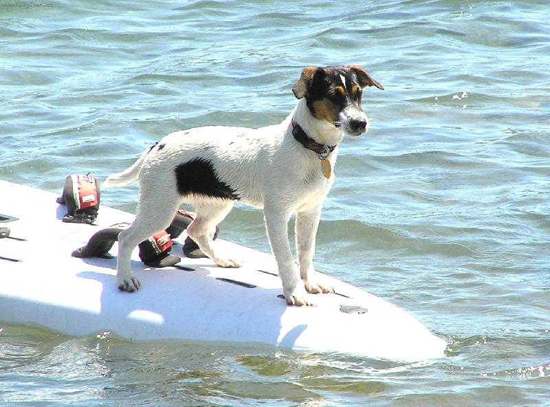 Foto: Jackie-surfa�ka