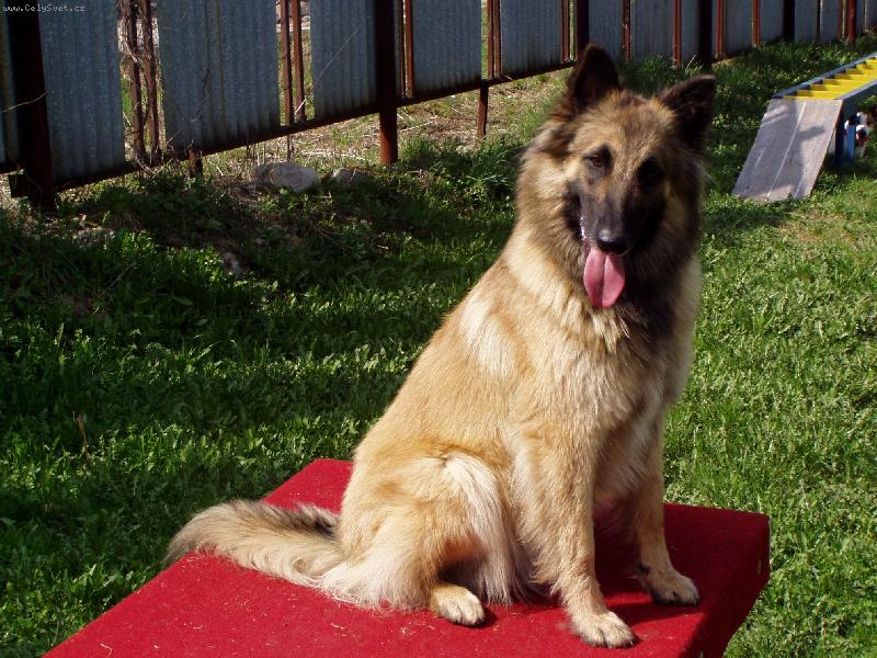 Foto: ALEXIS-na m�te -v�cvik