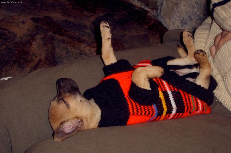 Foto: Shorty-tak takhle dopad�m po vy�erp�vaj�c� proch�zce