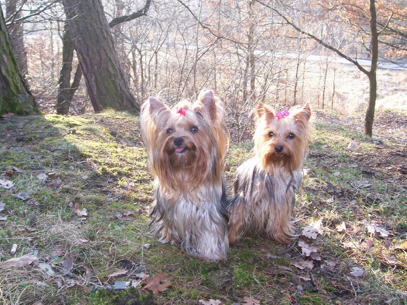 Foto: Bessy a Nella-Bessy a Nella