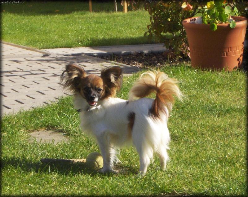 Foto: Am�lia Camilla Altair-7 m�s�c�