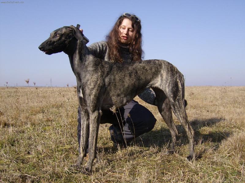 Foto: K�liha Bohemia Genao-S mou ""ch�vou"" Terezkou zkou��me postoj:D