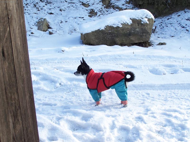 Foto: Anynka pol�rn�k-na chalup� na Slovensku