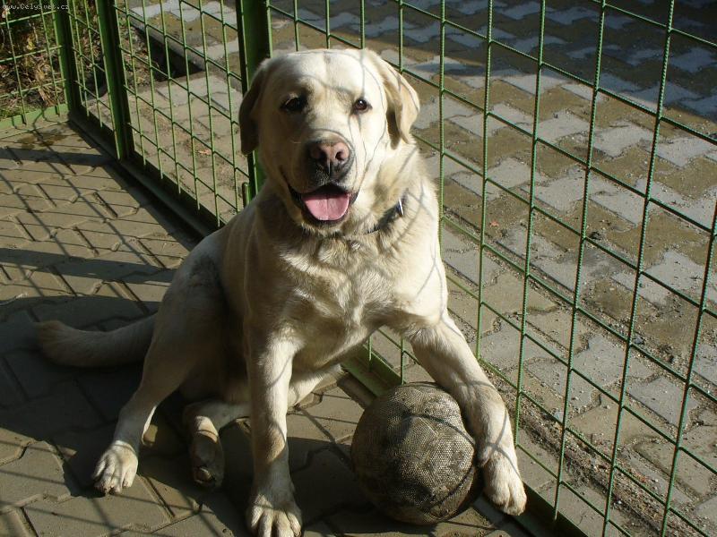 Foto: Cliff��ek fotbalista-N�kdy si r�d semnou..zahraje je opravdu u��a