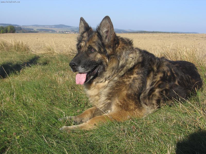 Foto: Fatty z �e��bu-ve 13ti letech