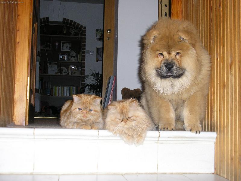 Foto: moji kamar�di