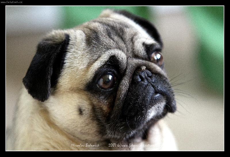 Foto: DENY-N� mazel