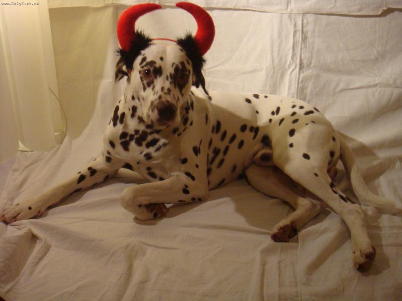 Foto: Lotrosko-Lotros ako �ert�k