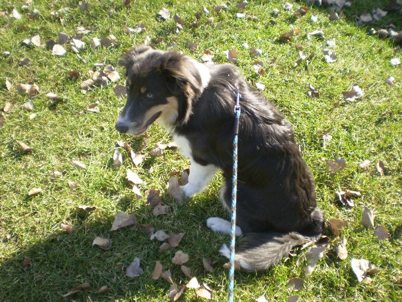 Foto: Artu� od Betl�msk� pastviny-Odpo�inek