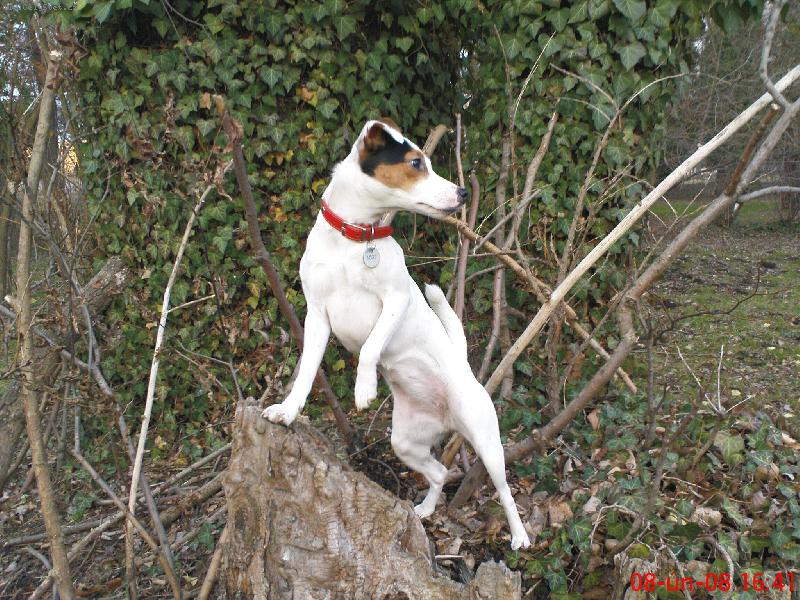 Foto: Agnes vyj�me�n� post�la na foto