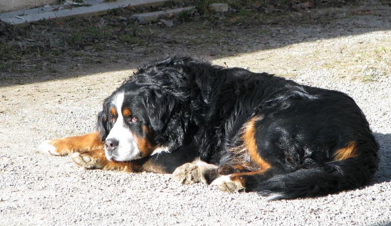 Foto: Jim z Ak�tov� aleje