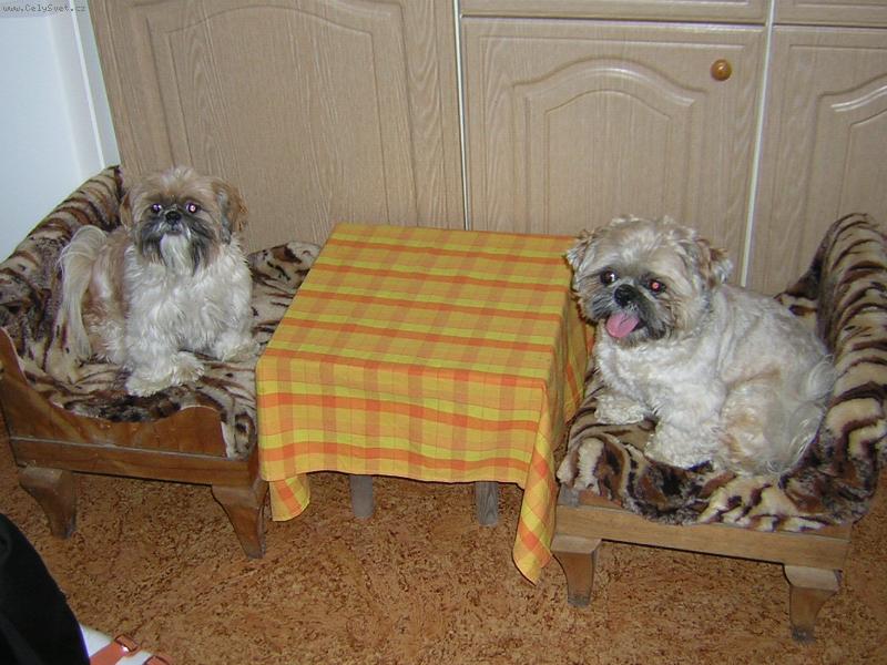 Foto: kde je ve�e�e?