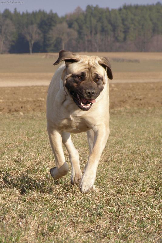 Foto: stra�id�lko cv�l� :-)