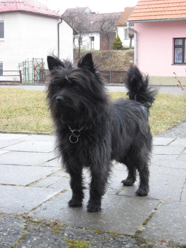 Foto: �ern� kern�k