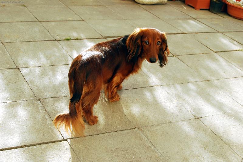 Foto: tak nic-kdyz mi nic nedas tak ja jdu...