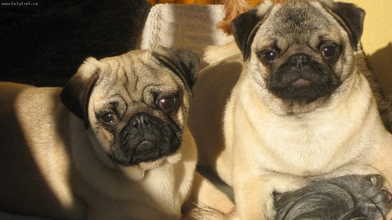 Foto: Poledn� siesta