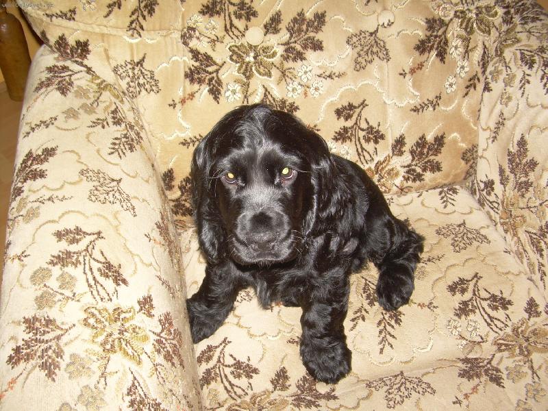 Foto: Max�k-Fotka focena kdy� mu byli 3 mes�ce