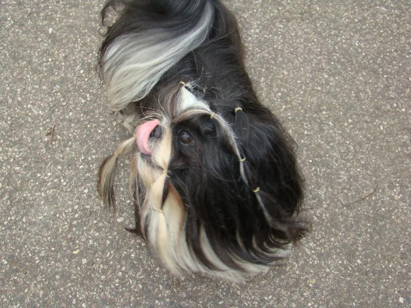 Foto: M�am, to byla dobr�tka