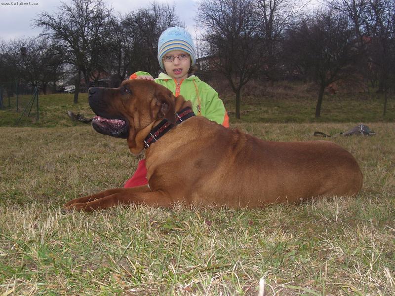 Foto: Jch, Atsuko of Malizi Doghouse-Atsuko a B�ra