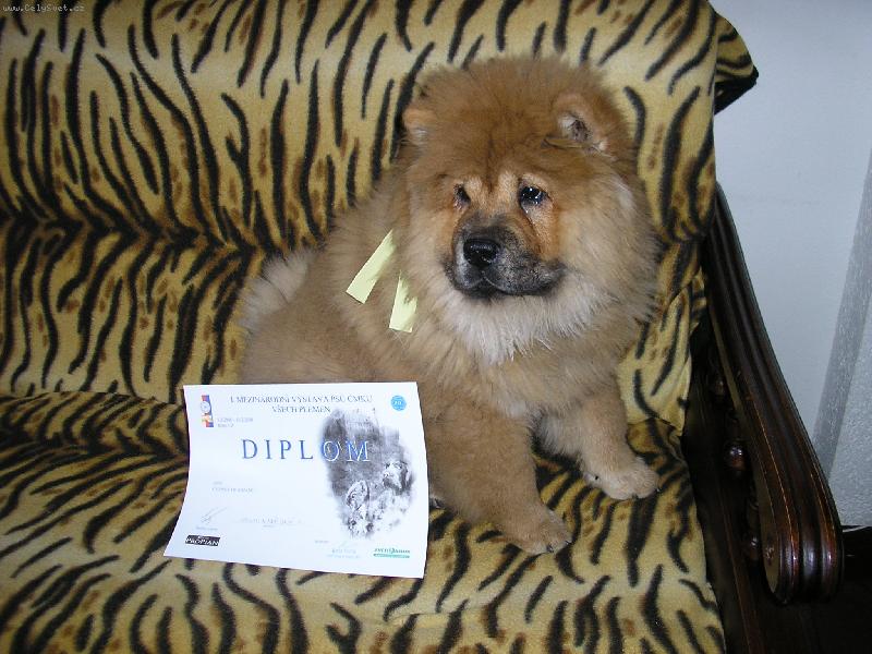 Foto: prvn� v�stavn� �sp�ch