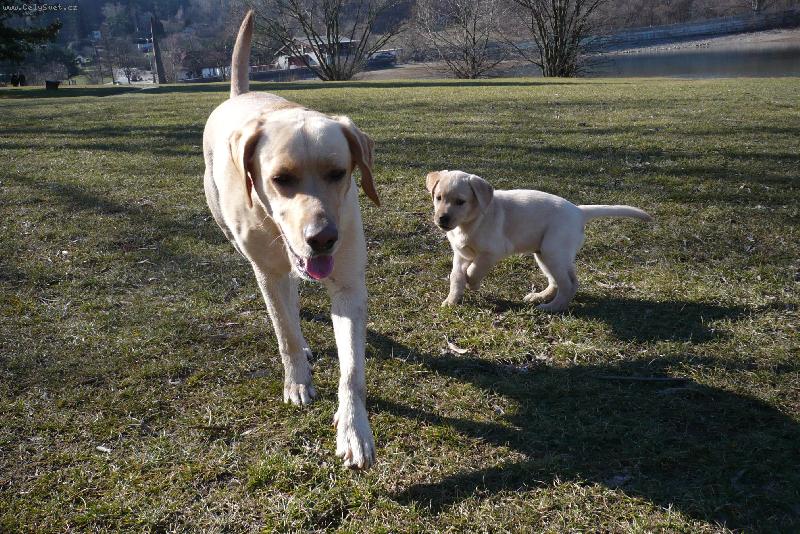 Foto: B�ra a jej� holka-na brn�nsk� p�ehrad�