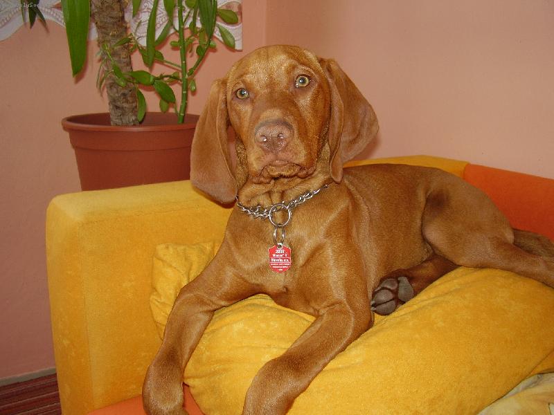 Foto: Barunka-trocha pohody