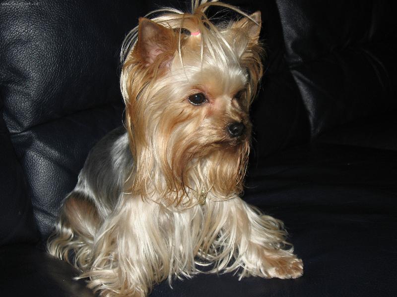 Foto: Beru�ka-Beru�ka