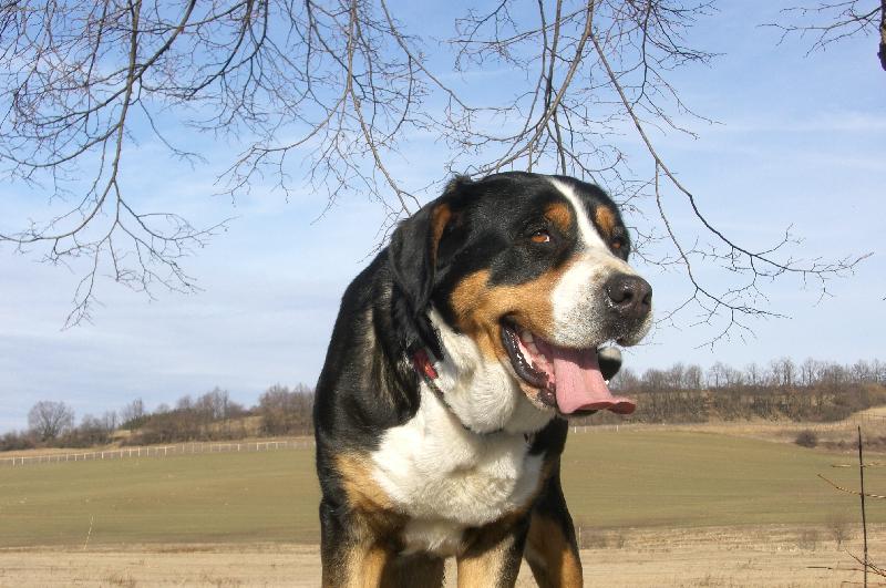 Foto: www.salasnicky.cz-Od Hv�zdal�ku