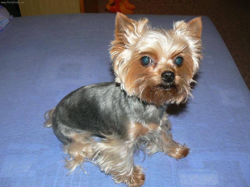 Foto: a cul�k je fu�