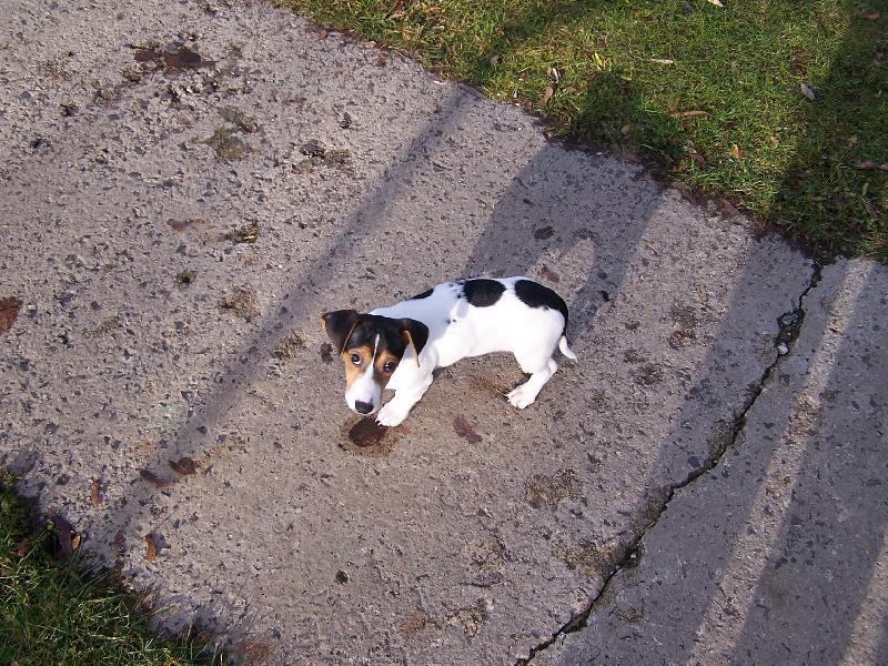 Foto: Max-..to j� ne..