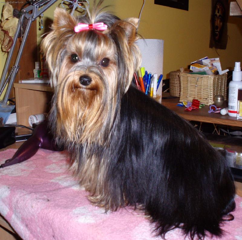 Foto: Terezka z ch.st.Od F�kov�ho listu