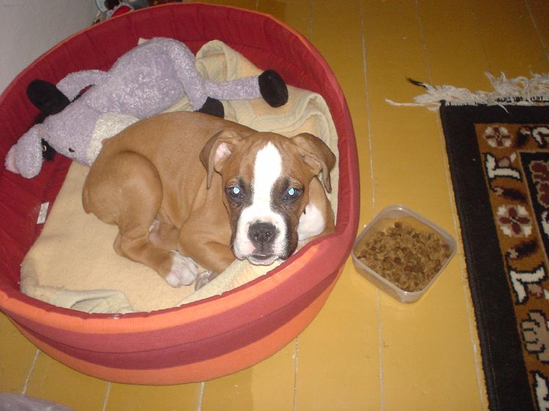 Foto: Arty v pel�ku