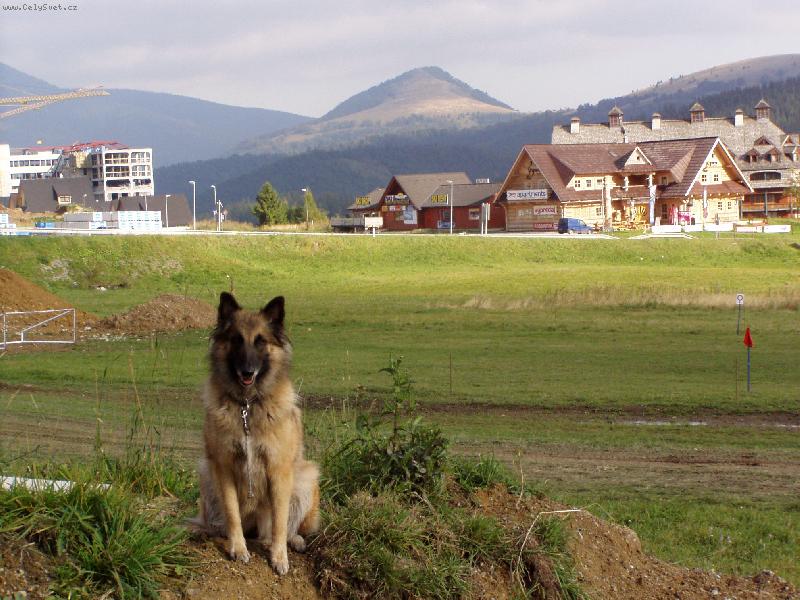 Foto: ALEXIS Almur Royal-Vylet v  NIZK�CH TATRACH - Donovaly