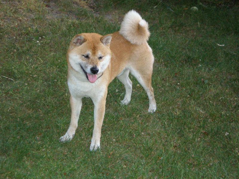 Foto: to jsem zase jednou l�tal za konv� =)